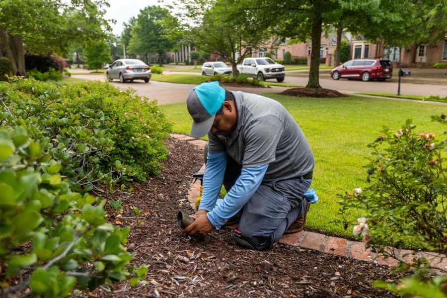 {SERVICE_NAME} project in Cedar Hill